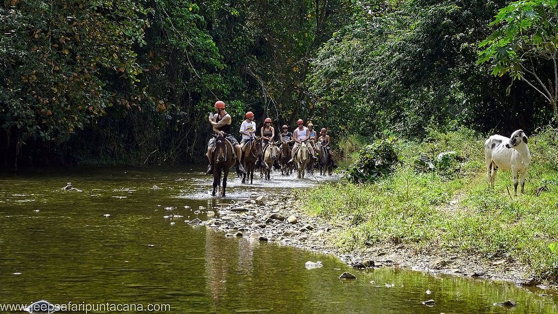 horseback-riding-web_orig